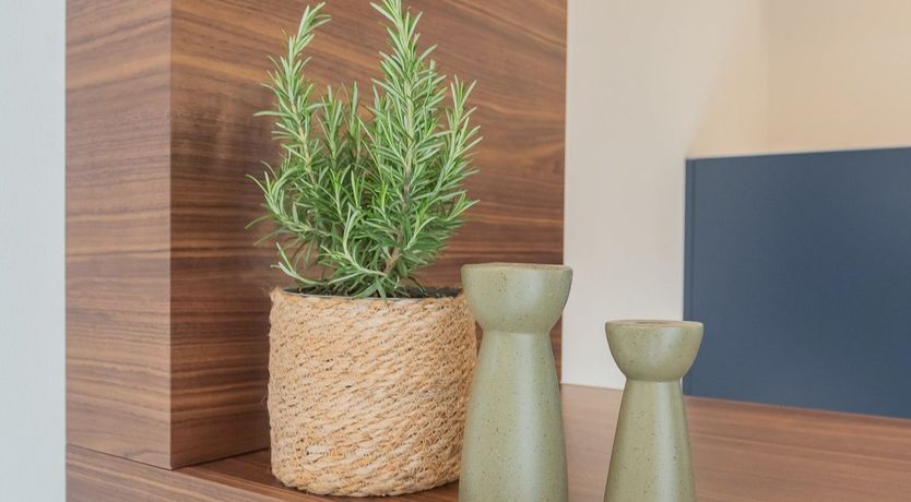 Photo of A Taste of Italy