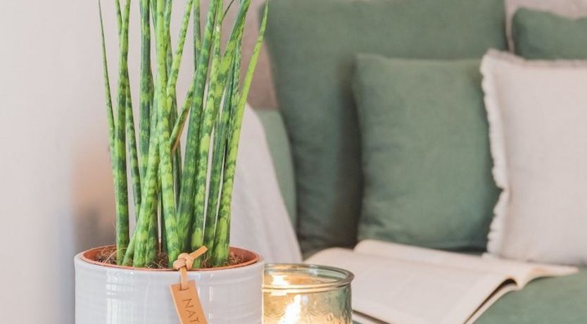 Photo of A Taste of Italy