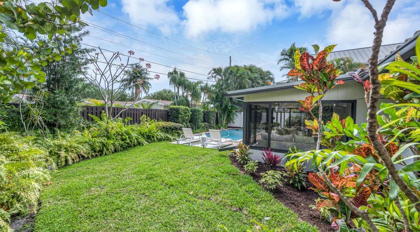 Photo of Summer Lights