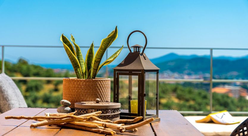 Photo of Breeze and Beauty