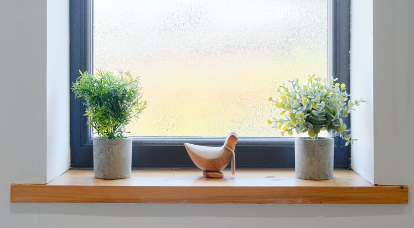 Photo of Mariner's Delight