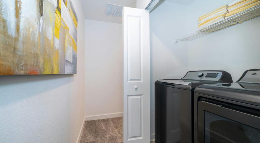 Photo of Ode to Summertime