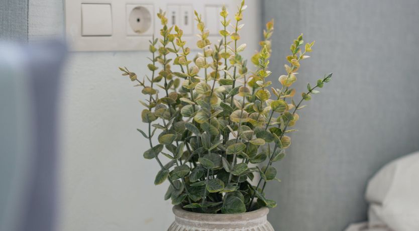 Photo of The Brightest Day