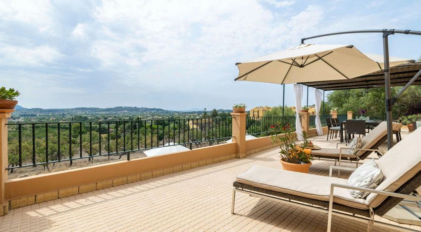 Photo of Marigold Blue