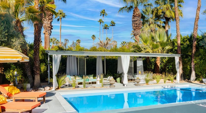 Photo of The Blue Dragonfly