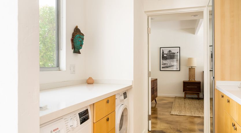 Photo of The Blue Dragonfly