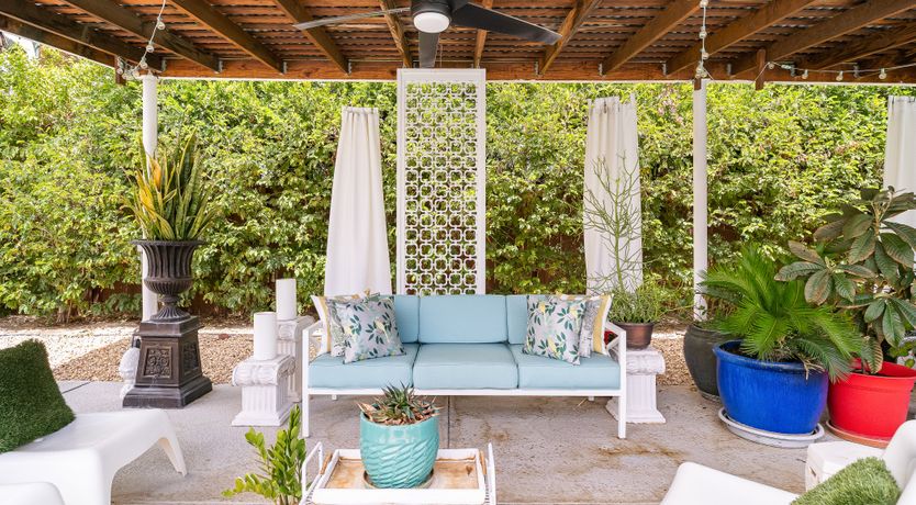 Photo of The Blue Dragonfly