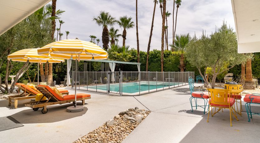 Photo of The Blue Dragonfly