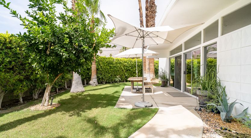 Photo of The Blue Dragonfly