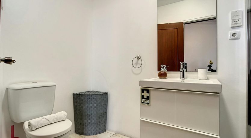 Photo of The Flower Blossom