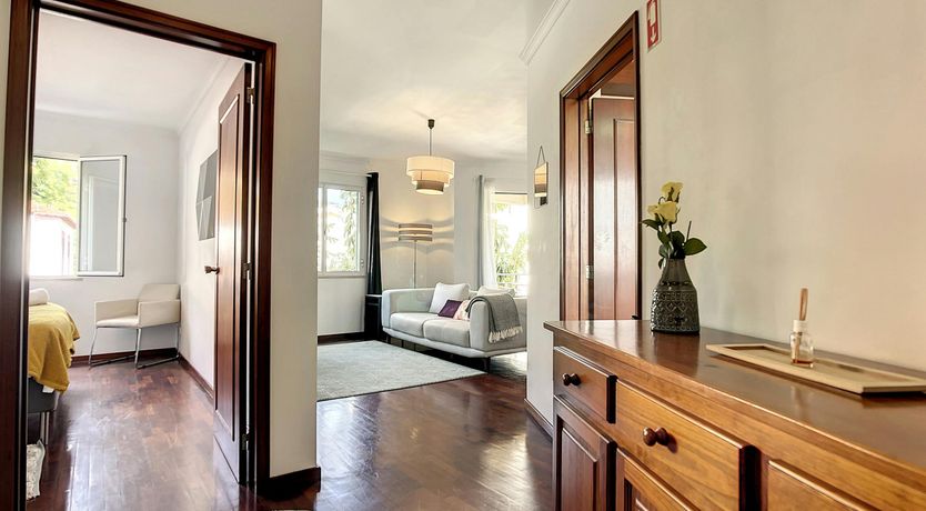 Photo of The Flower Blossom