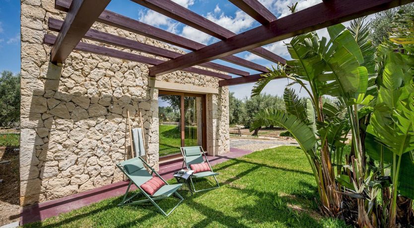 Photo of Wild Carnation