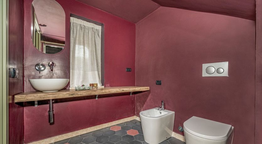 Photo of Wild Carnation