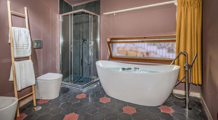 Photo of Wild Carnation