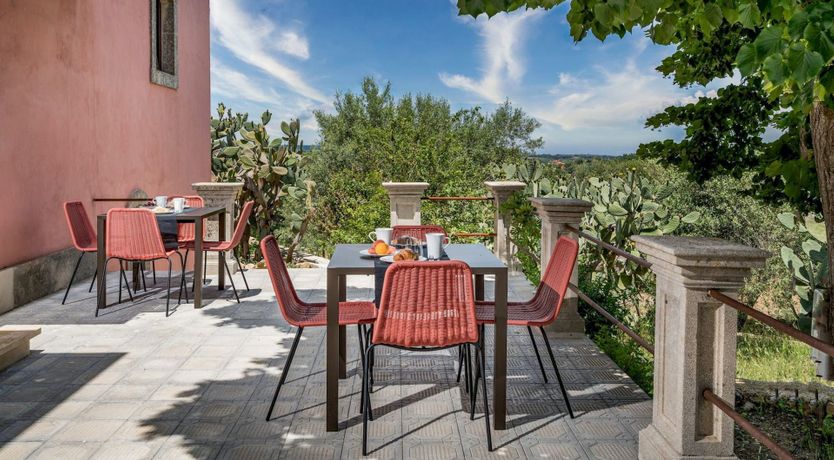 Photo of Wild Carnation