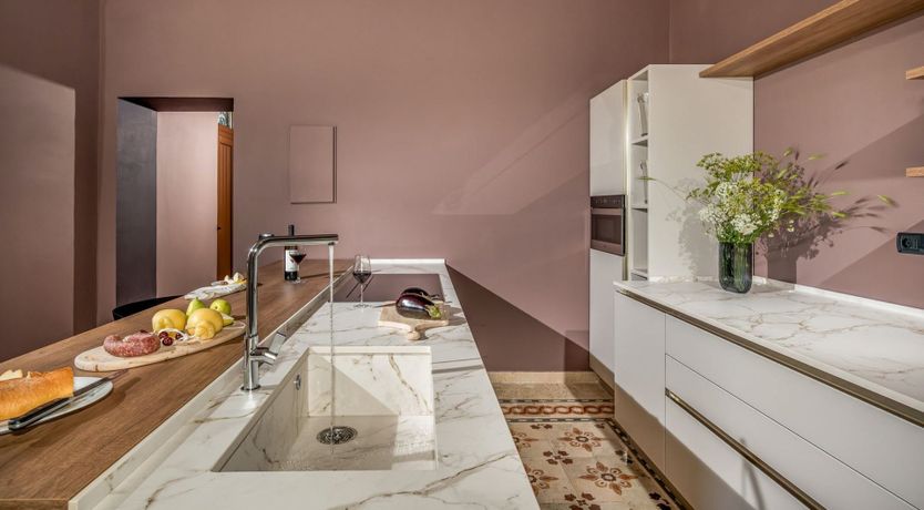 Photo of Wild Carnation