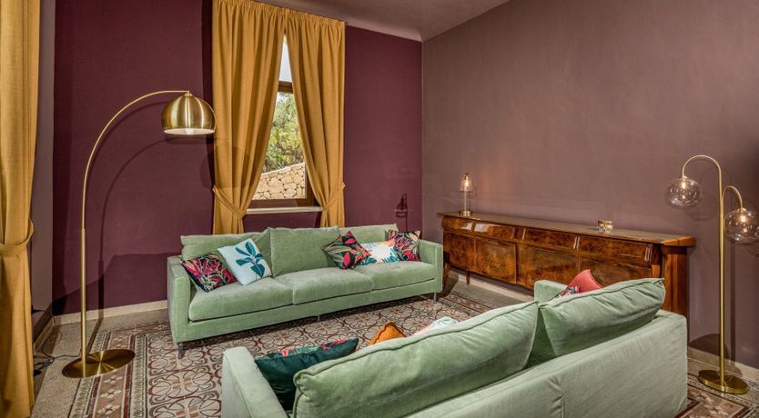 Photo of Wild Carnation