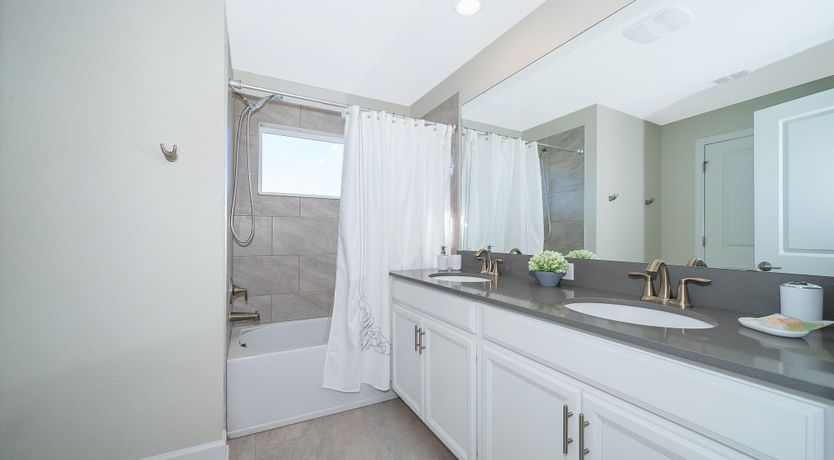 Photo of The Master of the House