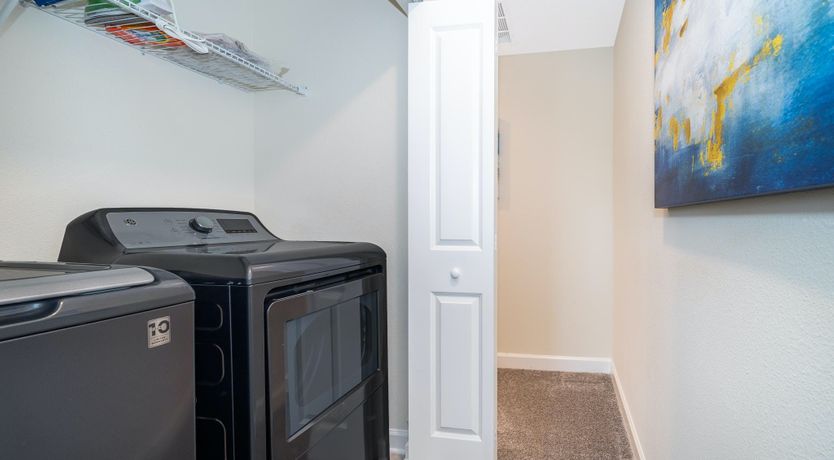 Photo of The Master of the House