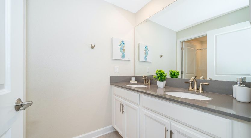 Photo of The Master of the House