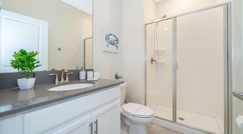 Photo of The Master of the House