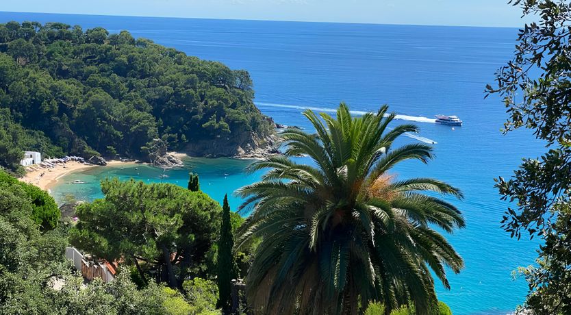 Photo of Seaside Symphony