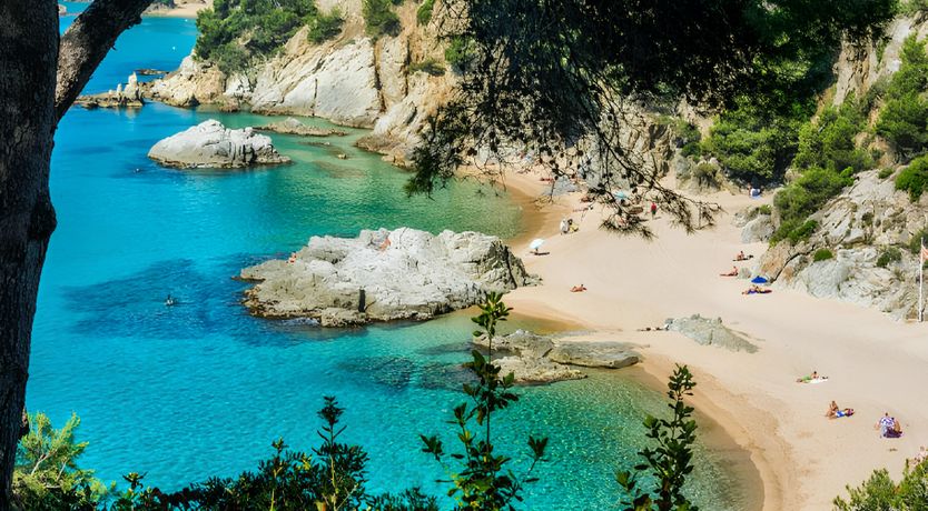 Photo of Seaside Symphony