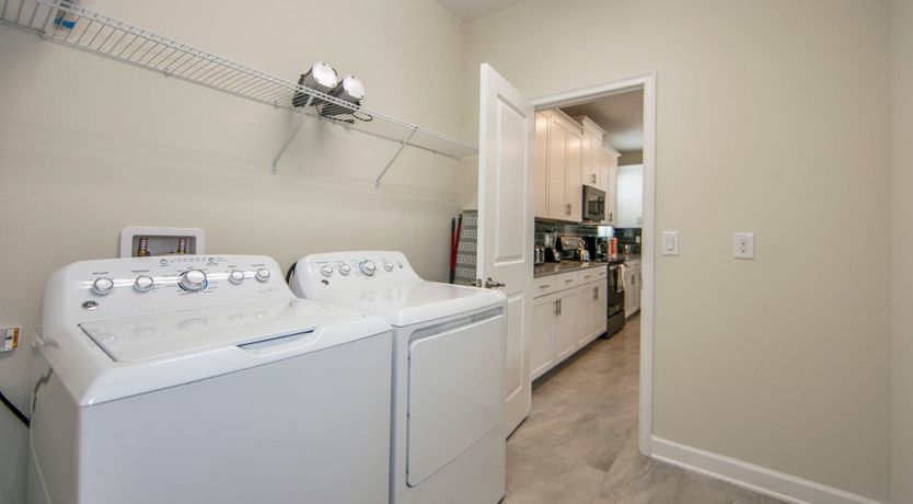 Photo of The Swamp Orelse