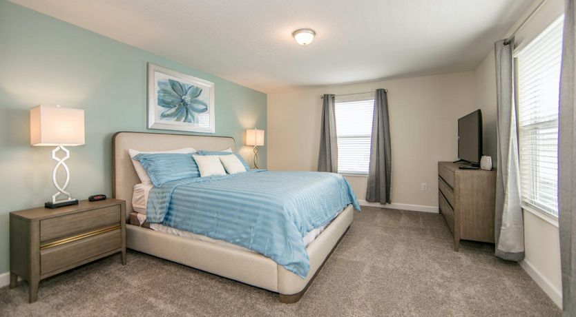 Photo of The Swamp Orelse