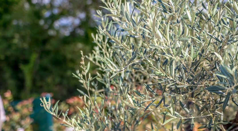 Photo of Poet's Retreat