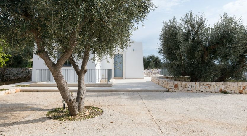 Photo of Love in Mind