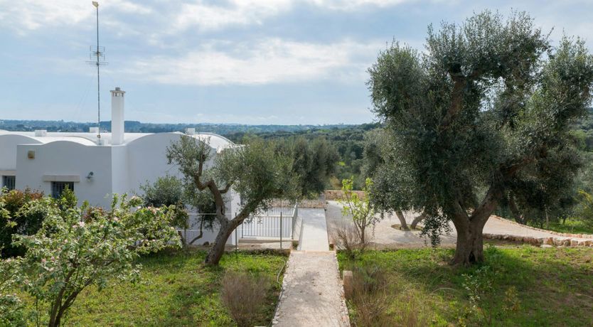 Photo of Love in Mind