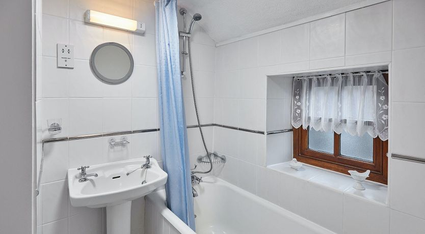 Photo of Majestic Beauty