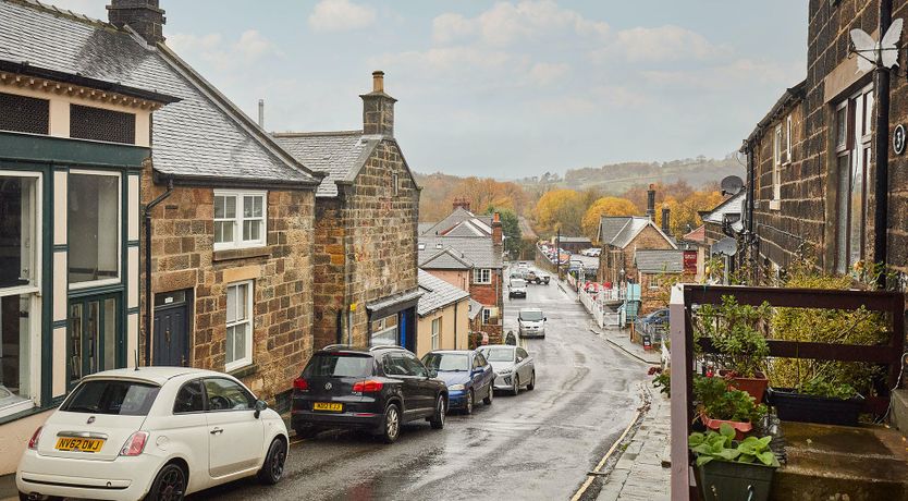 Photo of Majestic Beauty