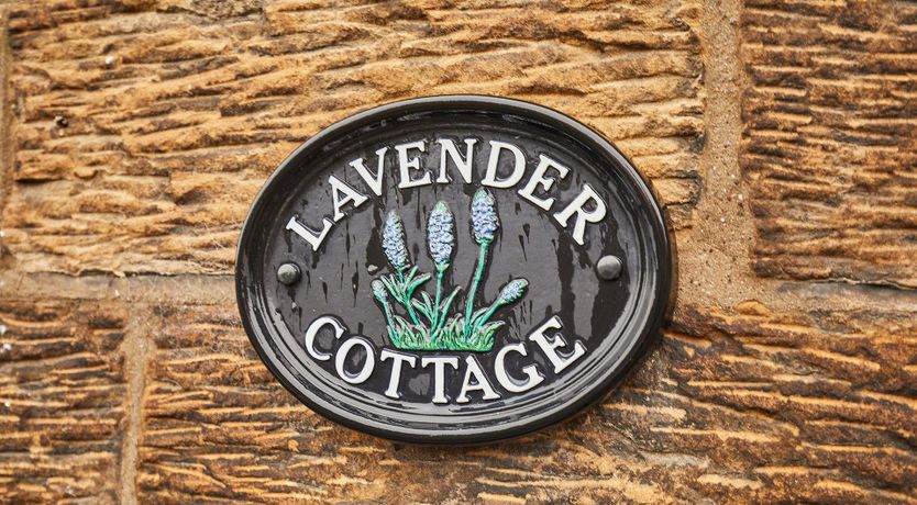 Photo of Majestic Beauty