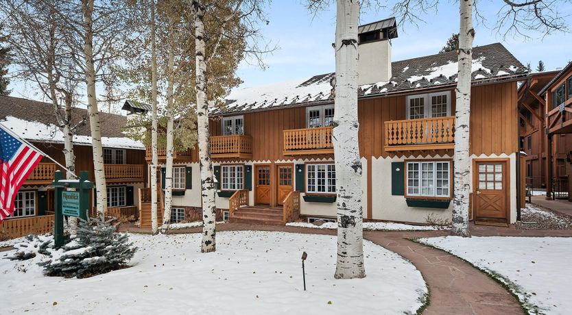 Photo of Snowfall Serenity