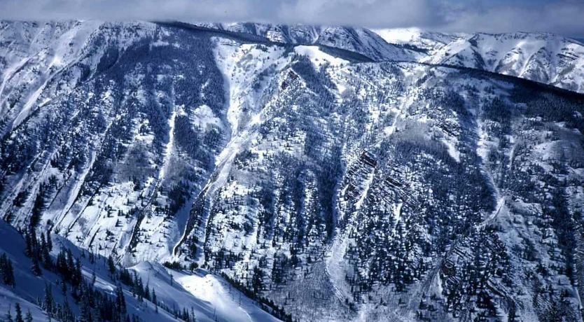 Photo of Snowfall Serenity