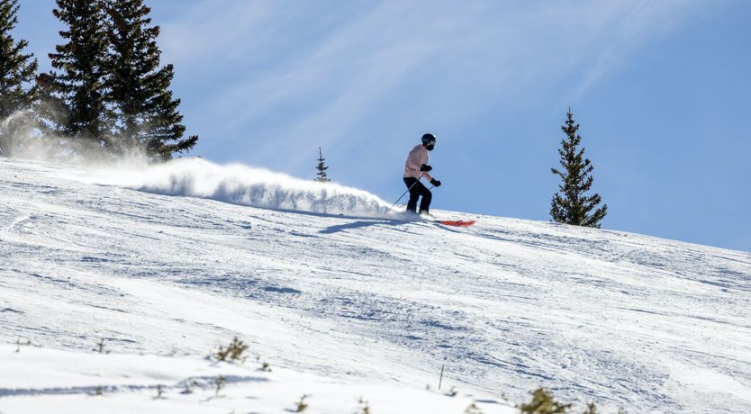 Photo of Snowfall Serenity