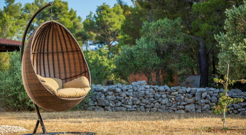 Photo of Star-Pierced Skies