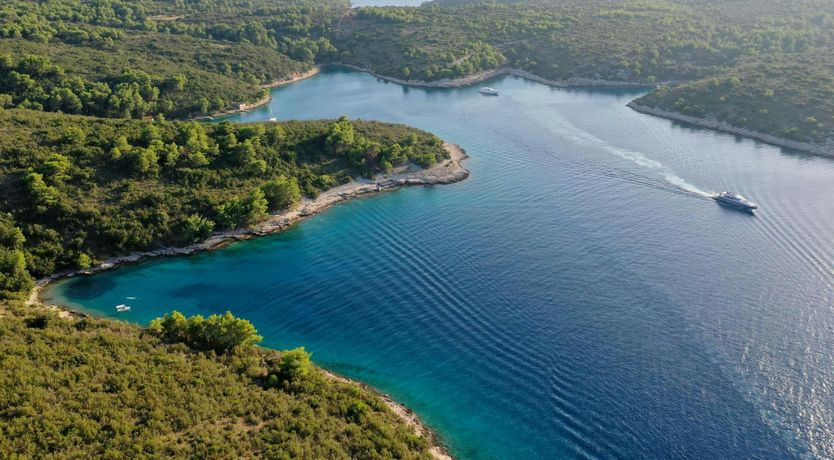 Photo of Star-Pierced Skies