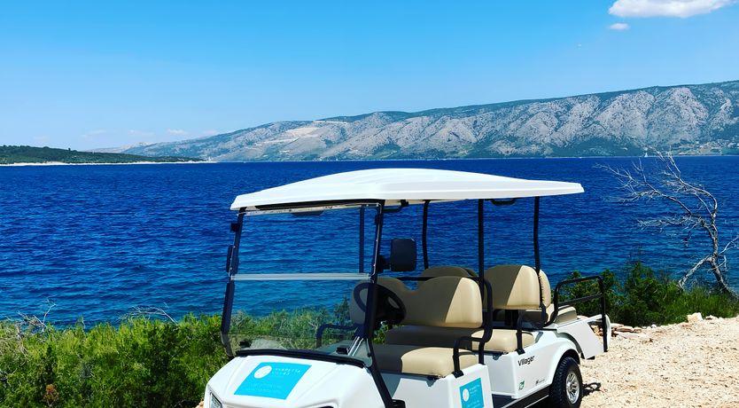 Photo of Star-Pierced Skies