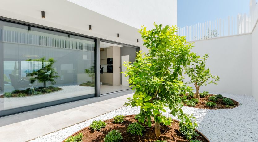 Photo of Sunshine & Blue Skies