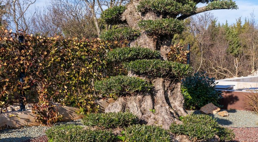 Photo of Paradise Island Retreat