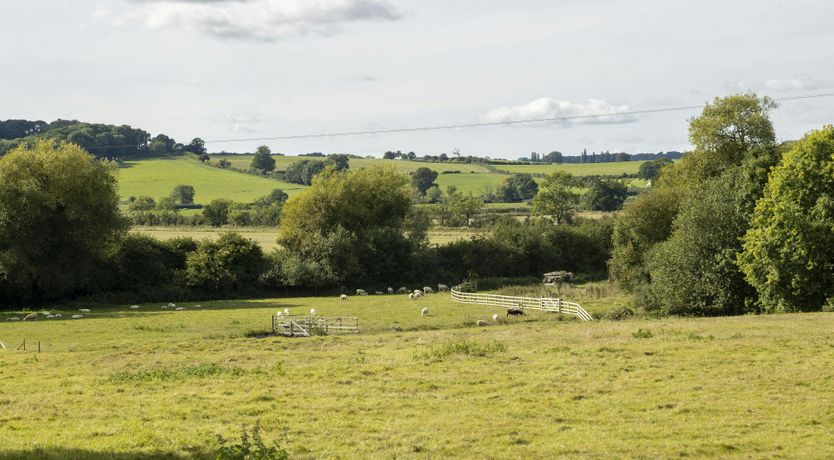 Photo of The Flintstone