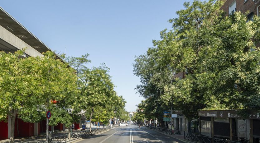 Photo of Numancia Escape