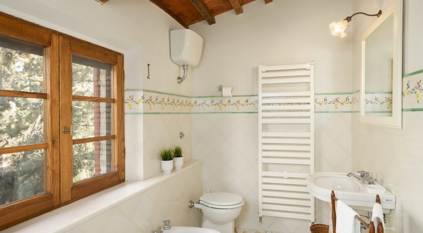 Photo of Sunlight Memories