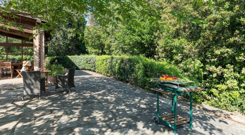 Photo of Sunlight Memories