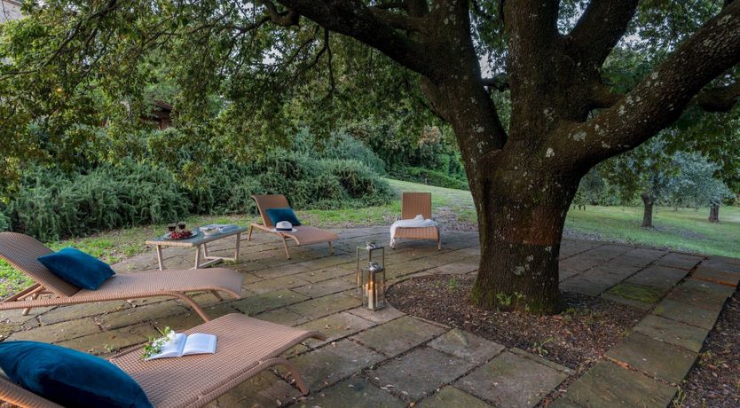 Photo of Sunlight Memories