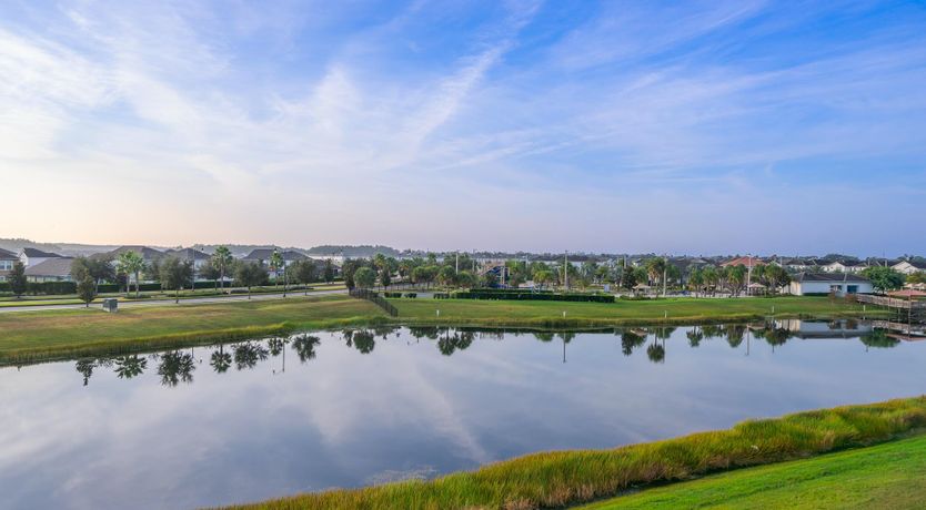 Photo of Daddy Long Bait