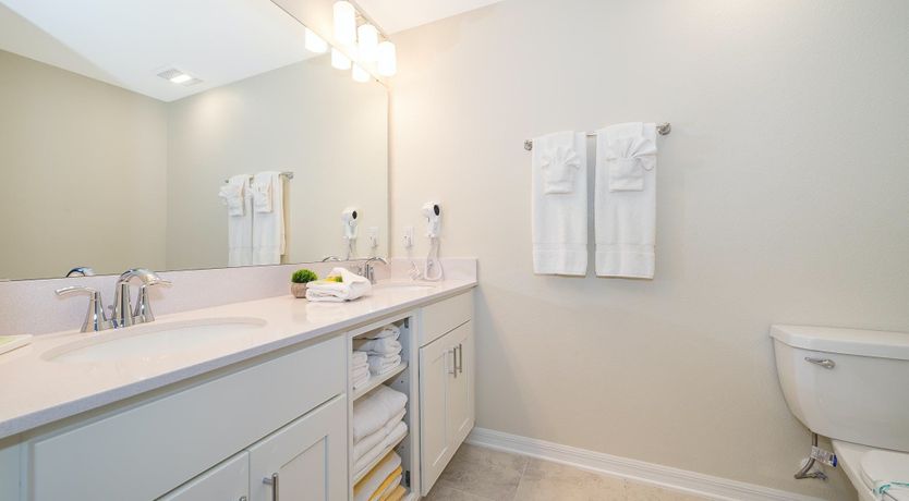 Photo of Daddy Long Bait